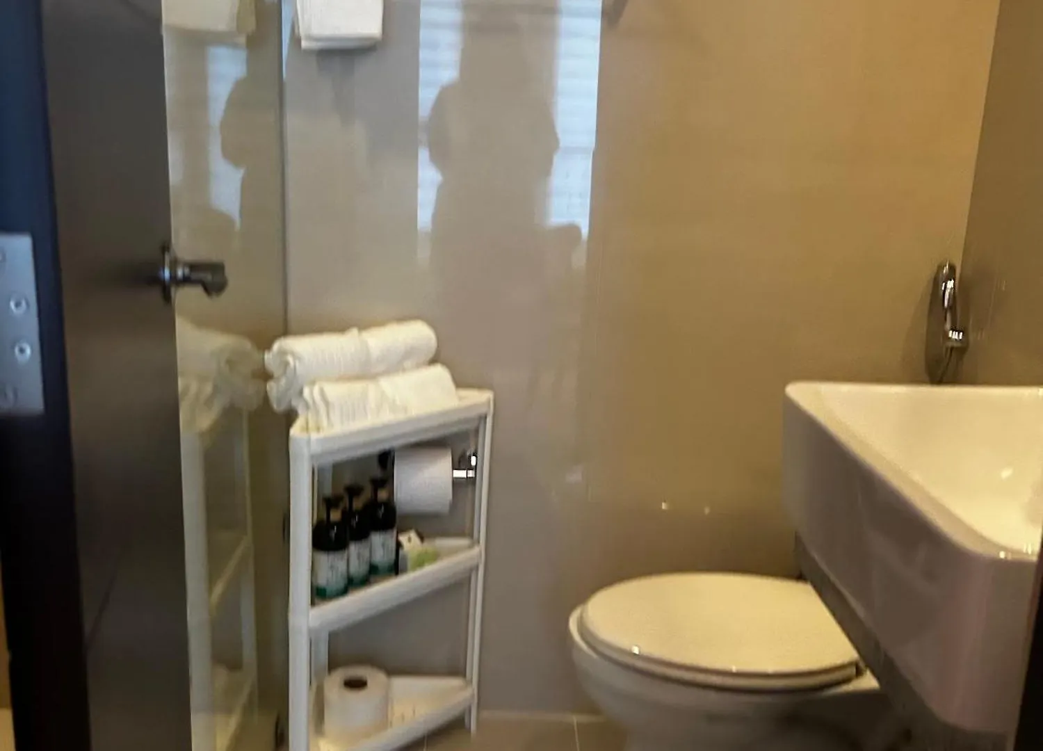 Tranquil Manor At Uptown Bgc Apartment Manila Philippines
